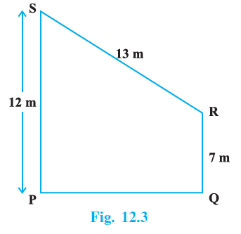 Page 117 Chapter 12 Class 9th NCERT Exemplar Page 117 Chapter 12 Class 9th NCERT Exemplar